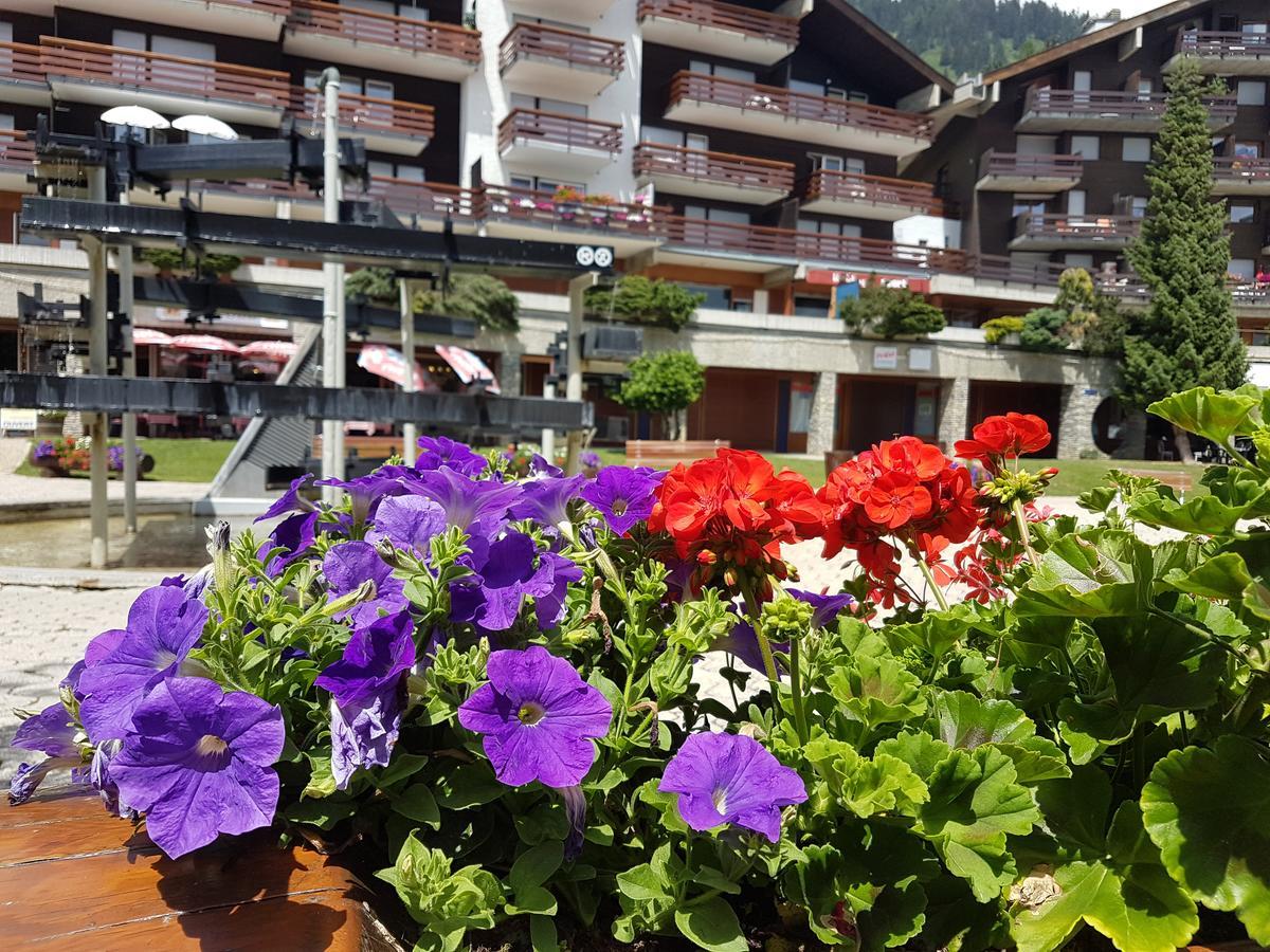 Holidays Groupes Анзер Екстер'єр фото