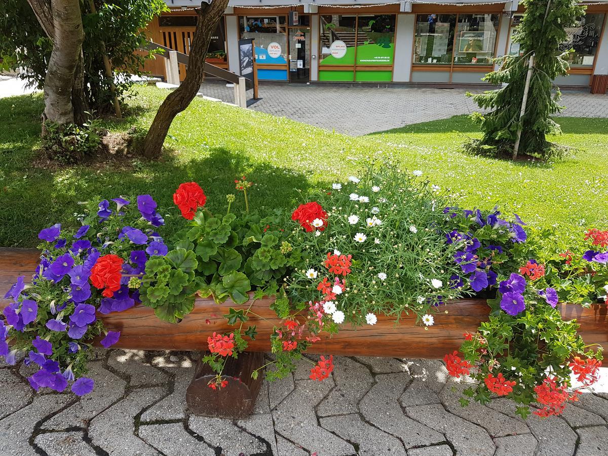 Holidays Groupes Анзер Екстер'єр фото